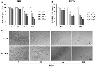 Rosmarinic Acid Activates AMPK to Inhibit Metastasis of Colorectal Cancer